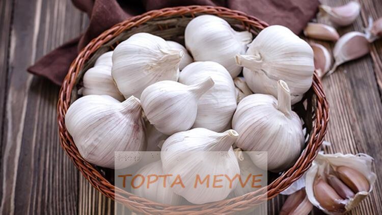 Sarımsak Nasıl Yetiştirilir ve Hasat Edilir