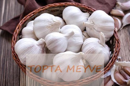 Sarımsak Nasıl Yetiştirilir ve Hasat Edilir