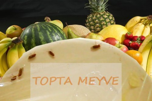 Meyve Sineklerinden Nasıl Kurtulursunuz