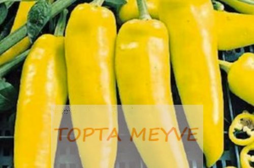 Ev Bahçenizde Muz Biber Nasıl Yetiştirilir