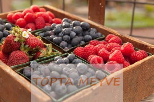 50'Yaşından Sonra Yenilmesi Gereken 7 Süper Gıda