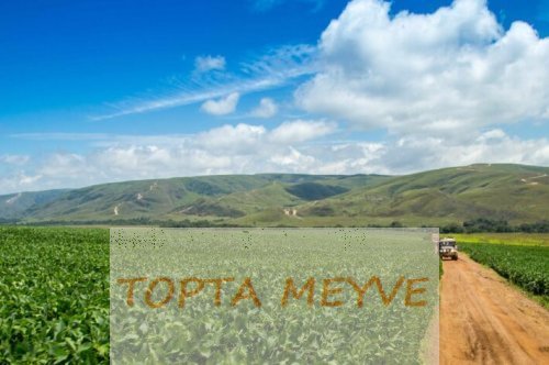 Gübre Kullanımını Optimize Ederek Karlılığı Artırın