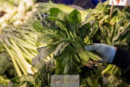 Bursa da Günlük Taze Ispanak