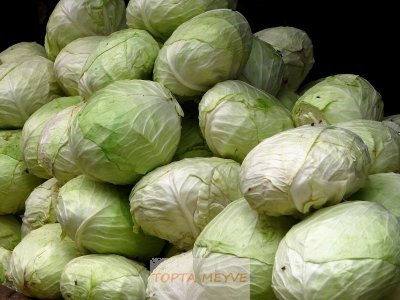 Bursa da pazarcı Murat dan Taze Lahana