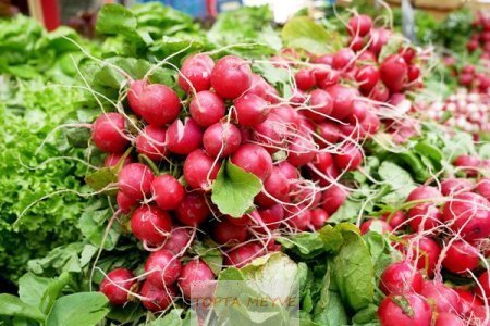 Turp Ürünleri Pazardan Veya Bahçe den Bursa