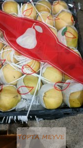 Toptan bursadan deveci armudu