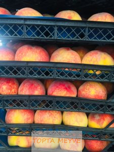 Şeftali  nektarın  çeşitlerı