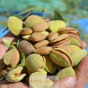 Toptan ve perakende badem