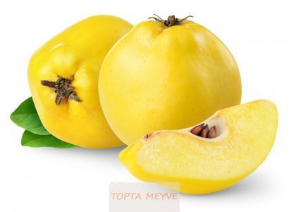 Toptan Ve Perakende Bursa dan Ayva Bahçeden