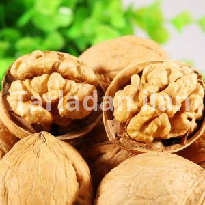 Chandler Ceviz  içi bursa da ibrahim çiçekden