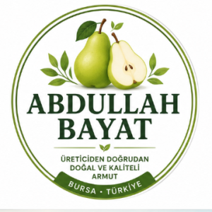 Bursa Santamaria Armut